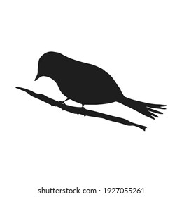 Digital silhouettes of birds. Bird vector illustration. Element for cricut.