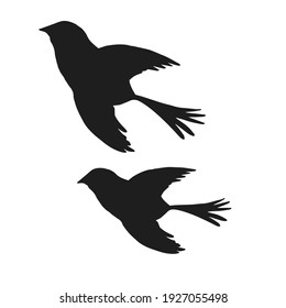 Digital silhouettes of birds. Bird vector illustration. Element for cricut.