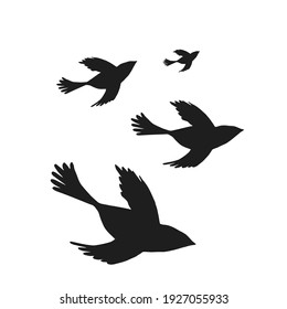 Digital silhouettes of birds. Bird vector illustration. Element for cricut.