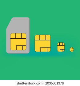 Digital sim is its size models vector illustration