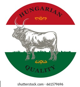 Digital sketch of bull with huge horns on Hungarian flag with traditional pattern.Hungarian quality symbol .