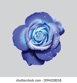 digital textile design flower and leaves