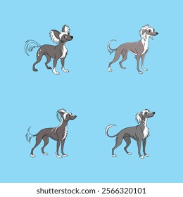 Digital vector artwork of a Chinese Crested Dog, perfect for pet lovers and design enthusiasts