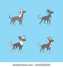 Digital vector artwork of a Chinese Crested Dog, perfect for pet lovers and design enthusiasts