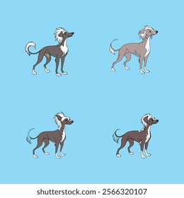 Digital vector artwork of a Chinese Crested Dog, perfect for pet lovers and design enthusiasts