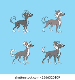 Digital vector artwork of a Chinese Crested Dog, perfect for pet lovers and design enthusiasts