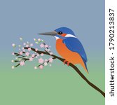 A digital vector drawing in of a kingfisher. The kingfisher sits quietly on a branch with pink blossom The background is a blue green gradient