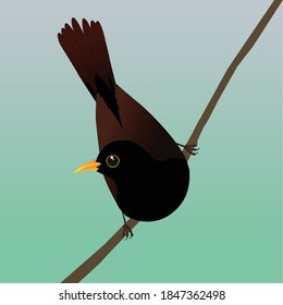 Featured image of post How To Draw A Blackbird On the opposite side draw a long curved line that almost reaches the bottom of the oval