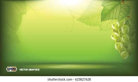 Digital vector Greenery Background for infographics . White vine grapes. Green natural background with place for your branding. 3d illustration future design or Advertise of product