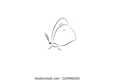 A digital vector illustration of a butterfly on a white background
