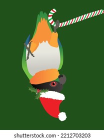 A digital vector illustration of a cute black headed caique. He is wearing a Christmas hat and hanging upside down on a candy cane. His hat is decorated whit holly.
He looks very cute.