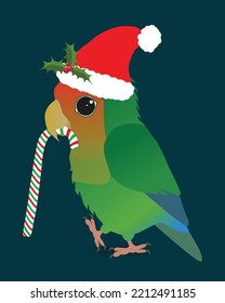 A digital vector illustration of a cute peach faced lovebird. He is wearing a Christmas hat and holding a candy cane. His hat is decorated whit holly.
He looks very cute.
