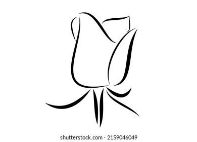 Ilustración vectorial digital de una rosa sobre un fondo blanco