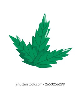 Ilustración vectorial digital que muestra hojas de menta y hierba gatera, ideal para empaques de té, íconos de hierbas o infografías botánicas.