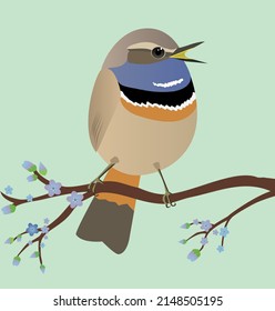 A digital vector illustration of a very cute blue throat bird singing a song in the shape of an egg. Soft green background. The bird is perched on a branch with blue blossoms.