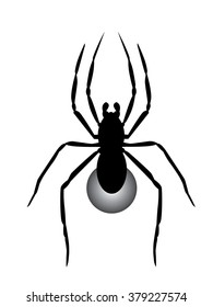 An digital vector silhouette illustration depicting wolf spider