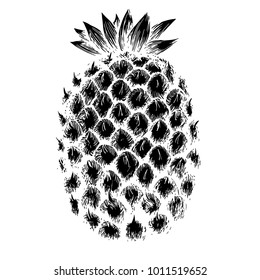Digital vector stamp of a pineapple fruit, black ink rough sketch isolated on white background. Good for clothes print, food stamping, healthy food menu design.