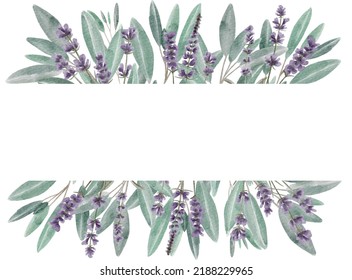 Digital watercolor painting lavender and sage leaves frame template isolated on white