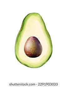 Digital Watercolor vector hand drawn illustration with fresh green avocado on the white background