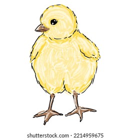 Digital Watercolor Yellow Chick. Young Chicken Isolated On White Background. Cute Baby Bird Illustration For Design