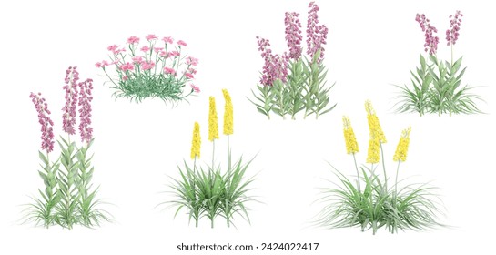 Digitalis,Giant Foxtail,Carnation flowers plants with transparent background, 3D rendering, for illustration, digital composition, architecture visualization