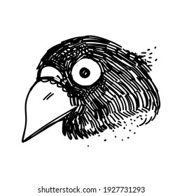 Digitally drawn illustration. Graphic style. Can be used as tattoo, print or background. The head of a raven.