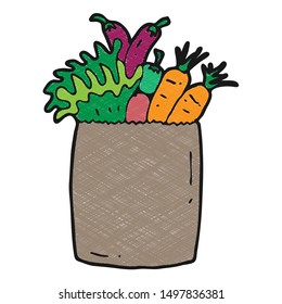 digitally drawn illustration vegetables design. hand drawing texture style