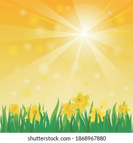 Digitally generated vector illustration of sun shining over yellow flowers against yellow background. spring season vector illustration concept.