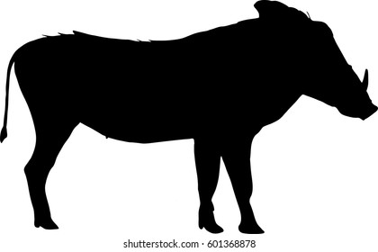 - digitally hand drawn vector Silhouette of a warthog, standing, side view illustration