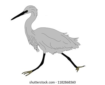 Cute Crane Bird Cartoon Vector Illustration Stock Vector (royalty Free 