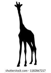 Digitally handdrawn Silhouette of a giraffe isolated on white background