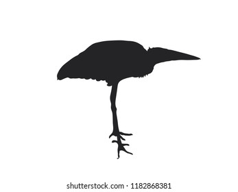 Digitally handdrawn Silhouette of a sea bird isolated on white background