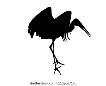 Digitally handdrawn Silhouette of a stork isolated on white background