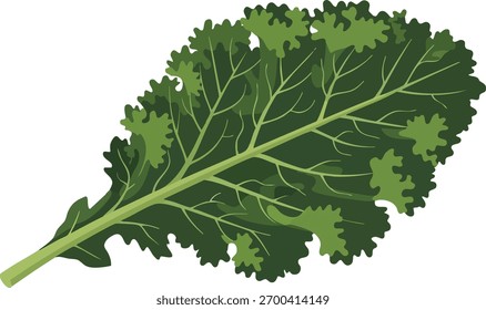 A digitally rendered illustration of a kale leaf, isolated on a white background