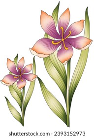 digital-textile-design-flowers-leaves-Exquisite border design, border pattern, Motif, Graph-
Digital Design background with colorful objects and flowers-