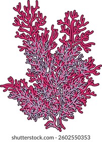 Digital-textile-design-flowers-leaves-Exquisite border design, border pattern, Motif, Graph Digital Textile All-Over Pattern Design for Pakistani-Indian-Turki-Kurti Design 
