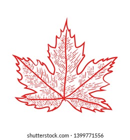 A digitial illustration of a red maple leaf.