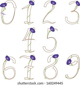 Digits and numbers set with flowers