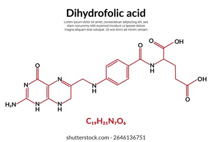 Dihydrofolsäure, Formel mit molekularer Struktur, geeignet für den Unterricht oder für den Inhalt der Chemie. Vektorgrafik