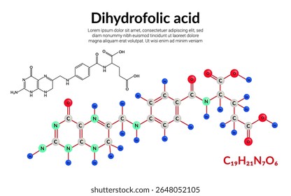 Dihydrofolic acid, molecular structure formula, ball-and-stick model, suitable for education or chemistry science content. Vector illustration