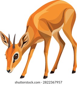 dik-dik grazing alert, three-quarter view, full body, antelope, savanna herbivore, vector illustration