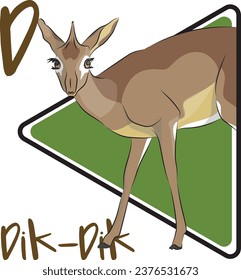 Dik-diks are tiny antelopes that vary in color depending on their habitat. The most distinguishing feature is their elongated snout. Only male dik diks have the corrugated horns.