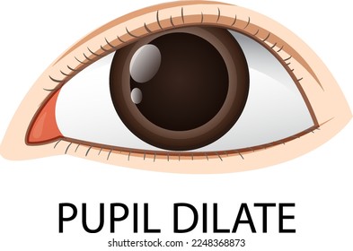 Dilated pupil human eye vector illustration