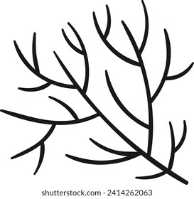 Dill Branch Spices Lined Vector Illustration