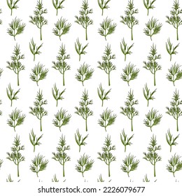 Dill bunch and twigs of dill vector seamless pattern