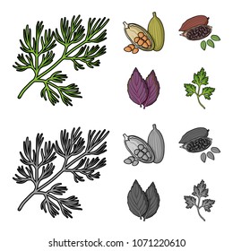 Dill, cocoa beans, basil.Herbs and spices set collection icons in cartoon,monochrome style vector symbol stock illustration web.