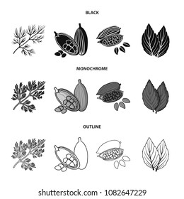 Dill, cocoa beans, basil.Herbs and spices set collection icons in black,monochrome,outline style vector symbol stock illustration web.
