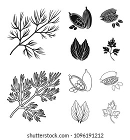 Dill, cocoa beans, basil.Herbs and spices set collection icons in black,outline style vector symbol stock illustration web.