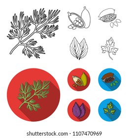 Dill, cocoa beans, basil.Herbs and spices set collection icons in outline,flat style vector symbol stock illustration web.