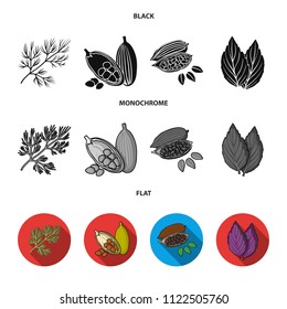 Dill, cocoa beans, basil.Herbs and spices set collection icons in black, flat, monochrome style vector symbol stock illustration web.